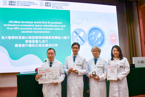 The AI model invented by HKUMed’s Department of Obstetrics and Gynaecology in the School of Clinical Medicine has clinical value in evaluating male fertility. Conventional assessment methods rely heavily on subjective visual judgment and have inherent limitations, whereas the AI model precisely analyses subtle traits in sperm, enabling a more accurate prediction of fertilisation potential. The research team members include (from left) Dr Raymond Li Hang-wun, Professor Philip Chiu Chi-ngong, Professor William Yeung Shu-biu and Dr Erica Leung Tsz-ying.